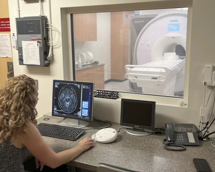 fMRI brain scan visualization demonstrating cortical pruning and specialization during pregnancy